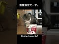 チキンいらんかねー。 #Shorts #猫 #まる