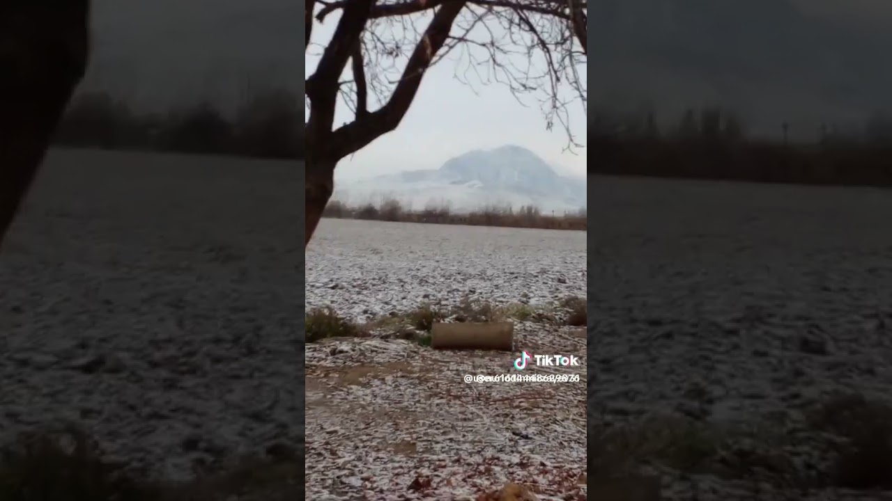 26 февраля 2026 г.