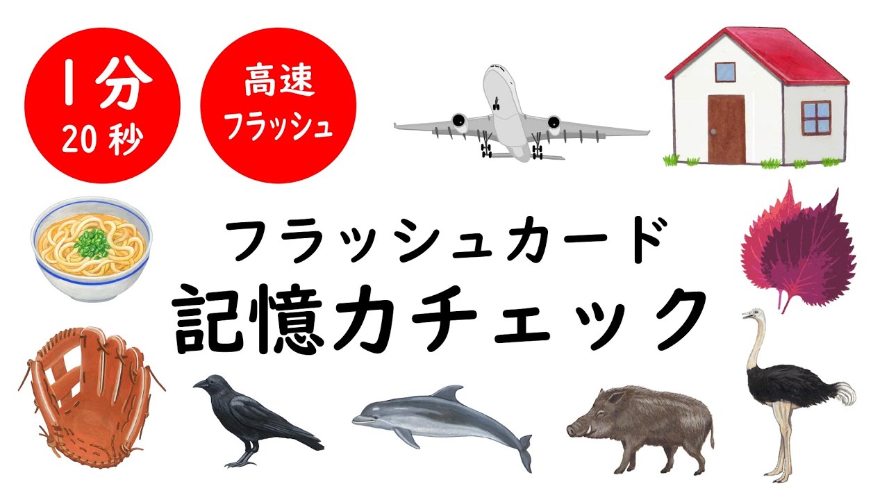 MIXフラッシュカード（記憶力チェック）