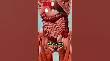 ماذا يحدث لجسمك عندما تكتم الغازات الحقيقة أغرب مما تتخيل 