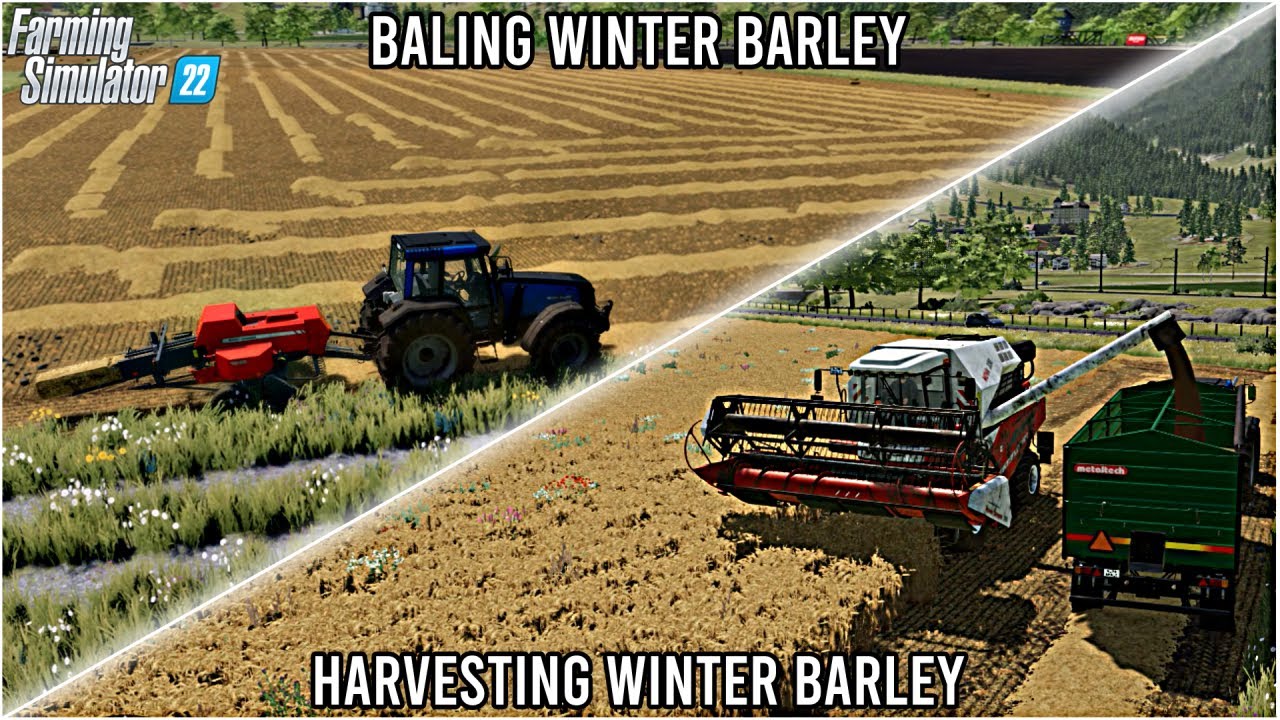 HARVESTING AND BALING WINTER BARLEY | ERLENGRAT MAP #22 | FS 22 - YouTube