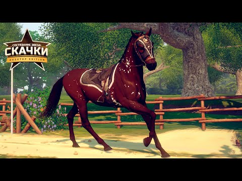 Создаю АРАБА, новинки и кросс кантри в Rival Stars Horse Racing