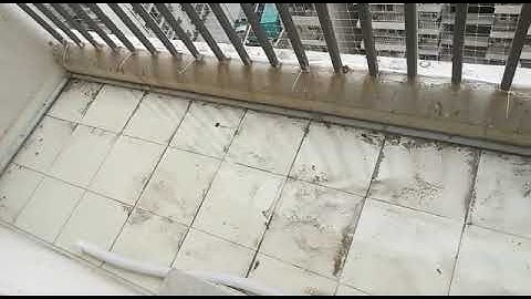 🐦 bird net call 18001024540 pigeon net cat net monkey net