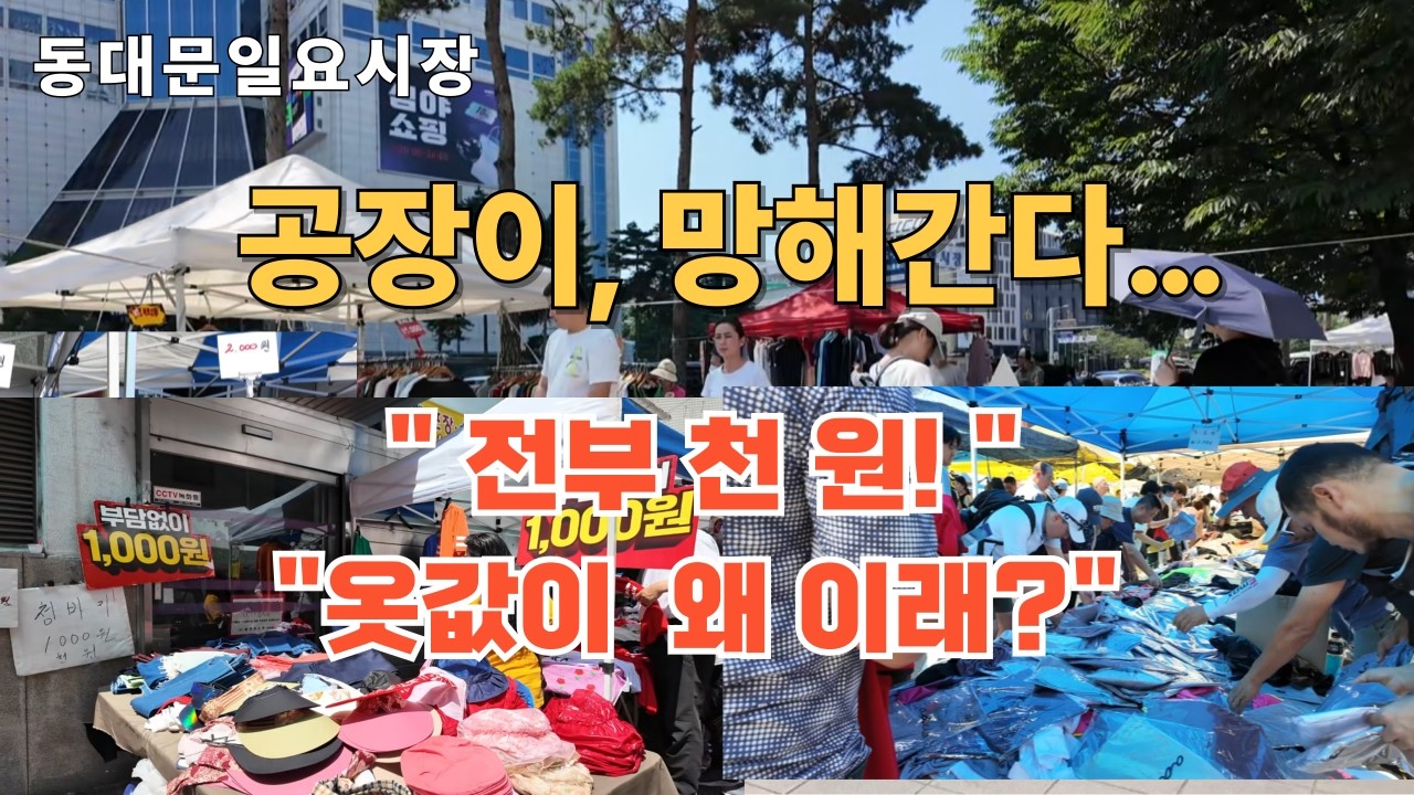 공장 망한 옷 동대문일요시장으로 흘러 들어와!!? ~^힐링여행