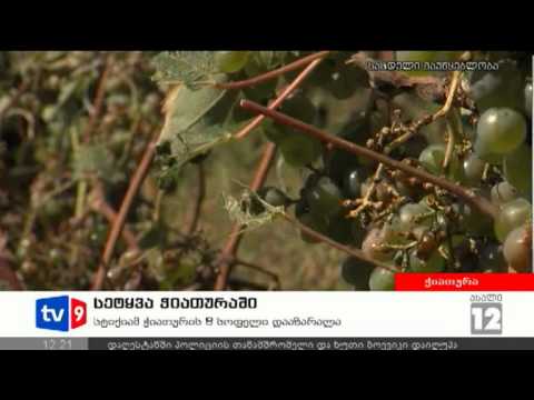 ახალი 12 | სეტყვა ჭიათურაში | 16.09.12