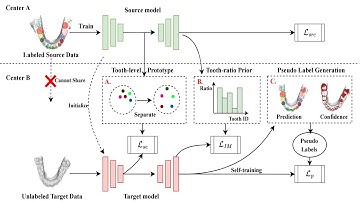 [O048] Model Adaptive Tooth Segmentation