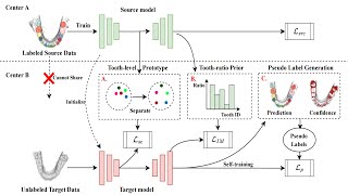 [O048] Model Adaptive Tooth Segmentation