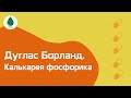 Калькарея фосфорика. Дуглас Борланд