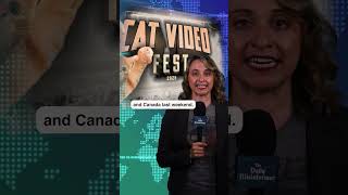 Cat Video Fest Played in Over 500 Theaters Nationwide