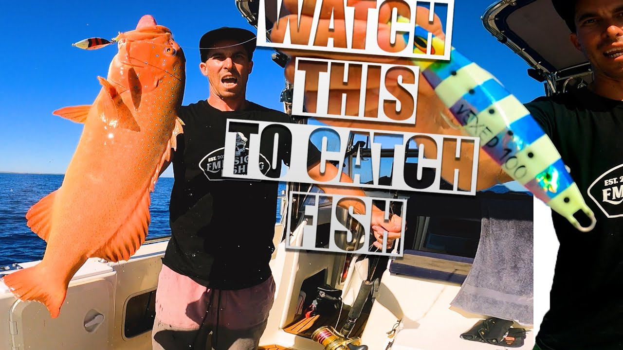 How to catch Demersal fish on jigs & baits // Shed talks YouTube
