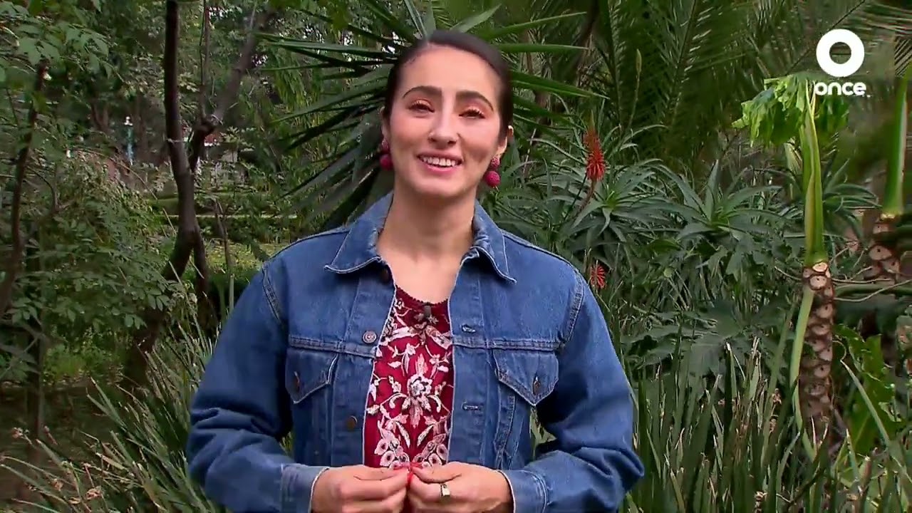 D Todo - Valle del Mezquital (21/02/2024)