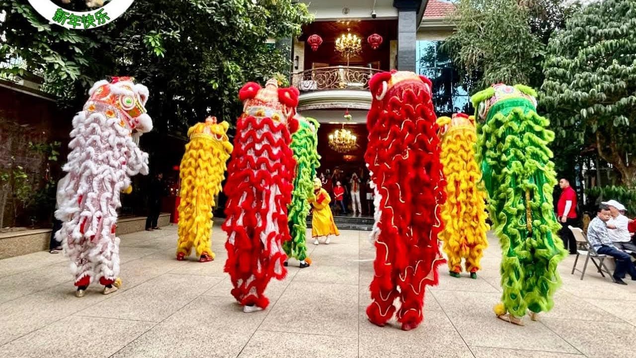 The Lion dance teams #liondance 