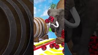 Long Slide Game with Cow Elephant Gorilla Hippopotamus Tiger 3d Animal Game Funny 3d Animals