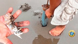 Descubre Una Manera Más Fácil Para Extraer Napes