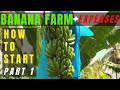 How To and How Much To Start a Banana Farming?Paano Magtanim ng Lakatan na Saging OFW Banana Farm P1