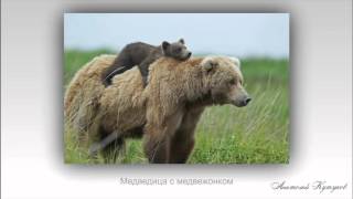 видео Фотофакты. В Барнауле строят полугостиницу и предлагают покупать в ней апартаменты