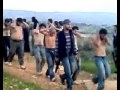 إلقاء القبض على مجموعة من شبيحة في مدينة حارم