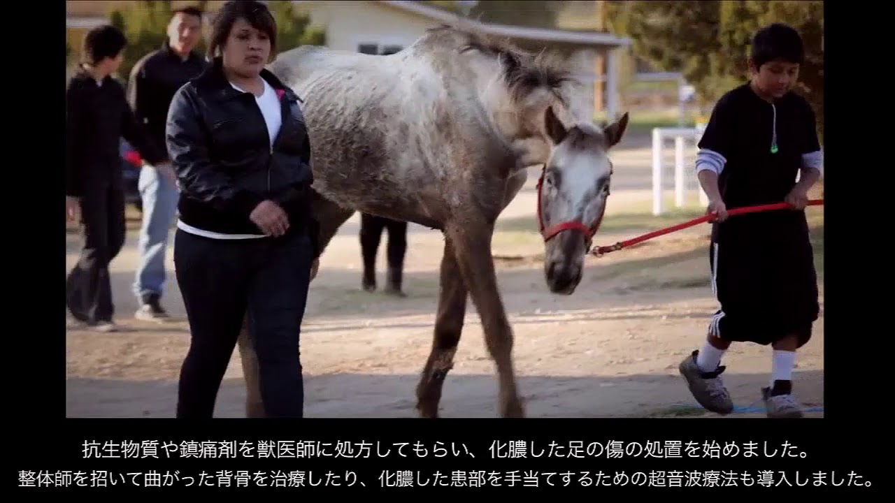 Healinig Hiroka New2