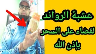 عشبة الرواند للقضاء على السحر بإذن لله