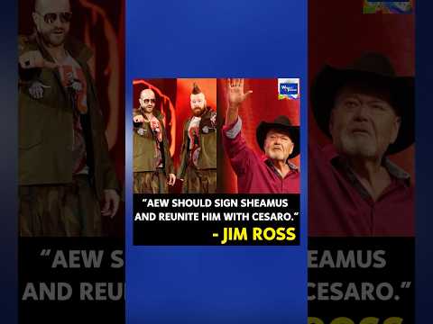 Video Sheamus in AEW should reunite with his former tag team partner Cesaro