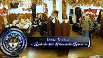 Doru Tranca - Dedicatie de la Grinea pentru Banca -Vila Select - Predeal