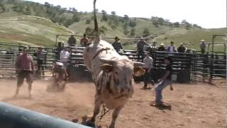 Rez Tuff Bucking Bulls Easter Bull Drop.MBV