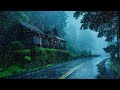 CHUVA PODEROSA na Estrada da Floresta para Dormir Profundamente ⚡ ASMR Barulho de Chuva e trovoadas
