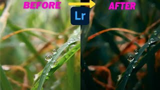 || Water Drop On Grass Photo Editing Lightroom Mobile || Moody Macro Photo Editing || Lightroom App screenshot 2