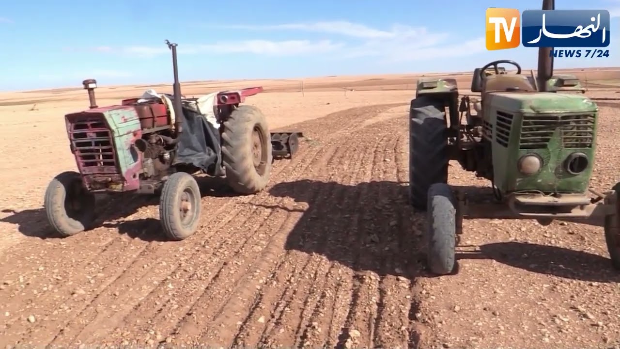 تيارت: العتاد الفلاحي القديم يرهق كهل الفلاحين