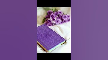 سوره المؤمنون ياسر الدوسري #المصحف #quran #لايك #الرحمن #القران_الكريم