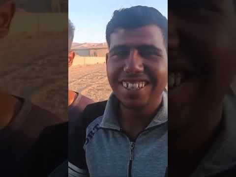 عيونك تكول غماز حلفاوية 