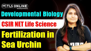 Fertilization in Sea Urchin | Developmental Biology | CSIR NET Life Science | Shruti Shukla |