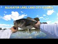 Bass Fishing Alligator Lake!