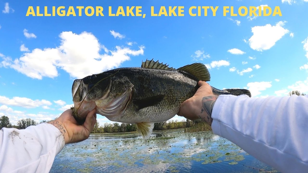 Bass Fishing Alligator Lake!