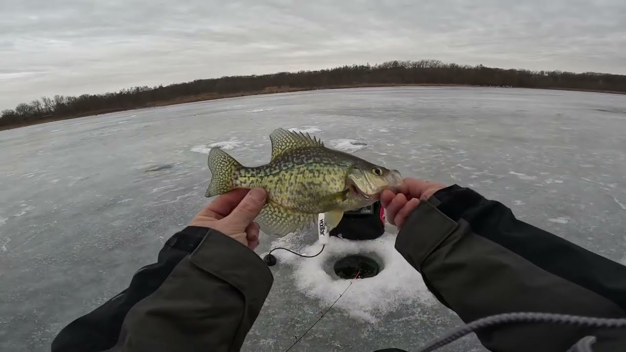 Подледная рыбалка для тех, кто хочет поймать крупную рыбу! (Окунь, краппи, щука)
