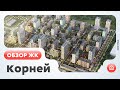 Обзор ЖК Корней (Тюмень)