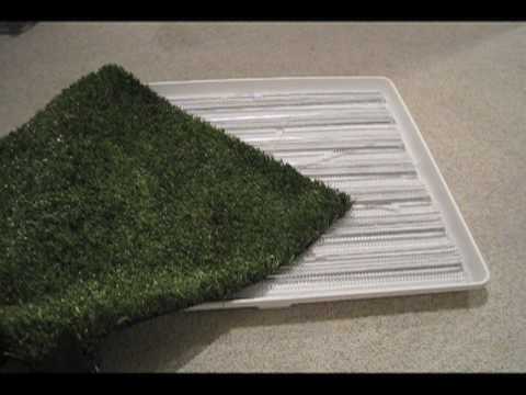 how-to-make-an-indoor-/-outdoor-pet-bathroom,-starring-dash-the-beagle