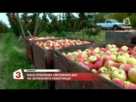 Видео: Как се отбелязва Денят на горските работници