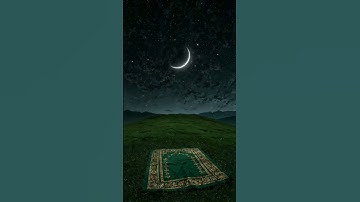 (ويسقون فيها كأسا كان مزاجها زنجبيلا) سورة الإنسان محمد اللحيدان 🌴