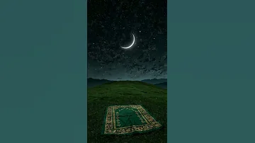 ويسقون فيها كأسا كان مزاجها زنجبيلا سورة الإنسان محمد اللحيدان 