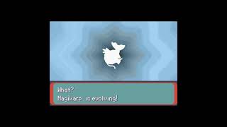 Pokemon Emerald - Evolving A D Magikarp Into Red Gyarados