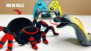 RC Realistic Wall Climbing Tarantula Fastest Spider Unboxing & Testing – Chatpat toy tv