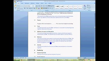 RequisitePro Tutorial part 7.mp4
