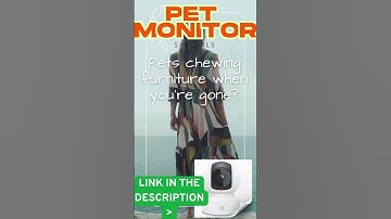 Set activity zones for smart alerts 🎯 #zones #security