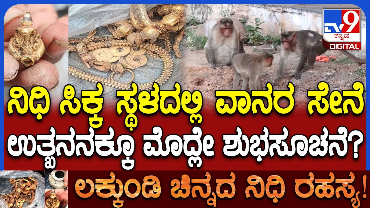 Monkeys on Excavation Place: ಲಕ್ಕುಂಡಿ ಗ್ರಾಮದಲ್ಲಿ ಚಿನ್ನದನಿಧಿ ಪತ್ತೆ ಬೆನ್ನಲ್ಲೇ ಉತ್ಖನನ ಕ್ಷಣಗಣನೆ | 