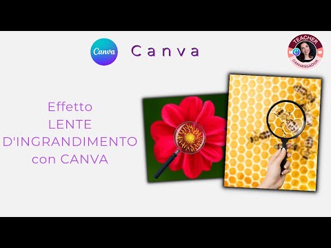 Come realizzare l'EFFETTO LENTE D'INGRANDIMENTO con Canva