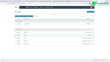 How to deleted Odoo instance on Odoo SaaS 2.0