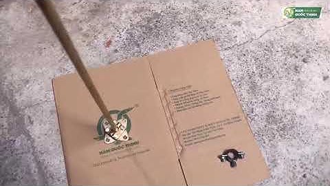 KIM THU SET CO DIEN DONG VANG THAU D16 DAI 150 CM ✅ Giải Pháp Cơ Điện