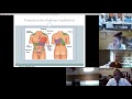 Abdominal pain  dr david dayanrosenman