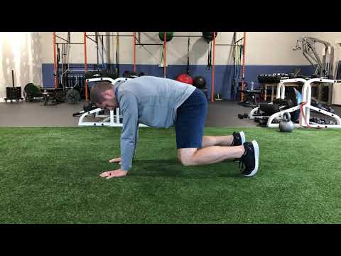 Bear Position Hold
